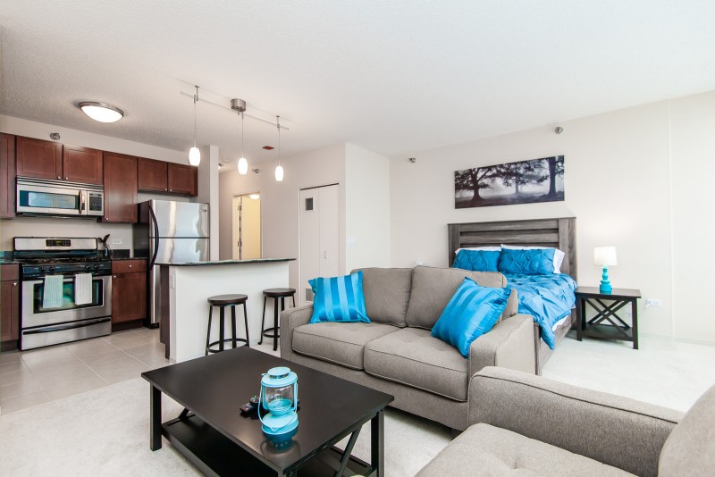 Luxury Apartment Rentals in Chicago – Things You Should Keep in Mind